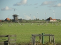 2015-09-23 GROET (12) (Kopie)