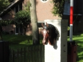 2015-09-23 GROET (3) (Kopie)
