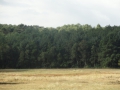 2015-09-23 GROET (4) (Kopie)