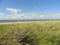 2015-09-25  BERGEN AAN ZEE (41) (Kopie)