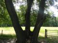 2020-06-03Maliskamp018