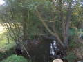 2006-09-11 (28)