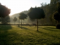 2006-09-13 (04)