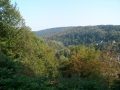 2006-09-13 (20)