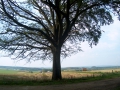 2006-09-13 (28)