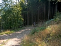 2006-09-13 (40)