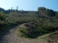 2006-09-13 (52)