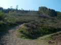 2006-09-13 (54)