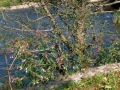 2006-09-13 (59)