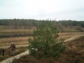 2007-01-03 Someren004