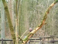2007-02-28 Goirle005