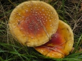 2007-10-08 Twente002