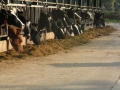 2007-10-08 Twente066