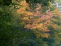 2007-10-08 Twente082