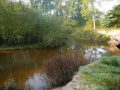 2007-10-08 Twente118