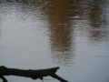 2007-10-08 Twente126