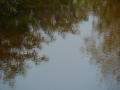 2007-10-08 Twente127