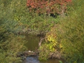 2007-10-08 Twente134