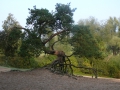 2007-10-08 Twente135