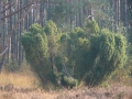 2007-10-08 Twente137