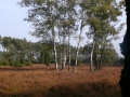 2007-10-08 Twente141
