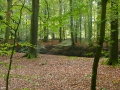 2007-10-08 Twente146