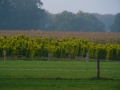 2007-10-08 Twente148