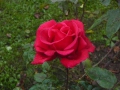 2007-10-08 Twente163