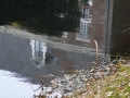 2007-10-08 Twente170