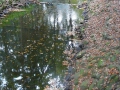 2007-10-08 Twente173
