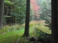 2007-10-08 Twente174