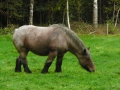 2007-10-08 Twente175