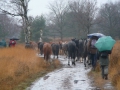 2008-01-30 Kampina004