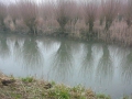 2008-02-13 Gorkum005