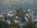 2008-09-22 Sauerland035