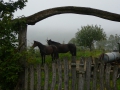2008-09-22 Sauerland067