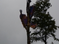 2008-09-22 Sauerland083