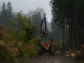 2008-09-22 Sauerland088