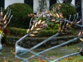 2008-09-22 Sauerland094