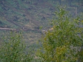 2008-09-22 Sauerland103