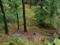 2008-09-22 Sauerland112