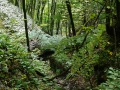 2008-09-22 Sauerland141