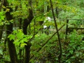 2008-09-22 Sauerland142