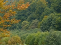 2008-09-22 Sauerland143