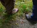 2008-09-22 Sauerland150