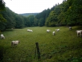 2008-09-22 Sauerland154