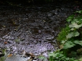 2008-09-22 Sauerland158