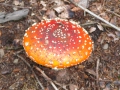 2008-09-22 Sauerland175