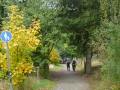 2008-09-22 Sauerland177