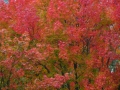 2008-09-22 Sauerland182